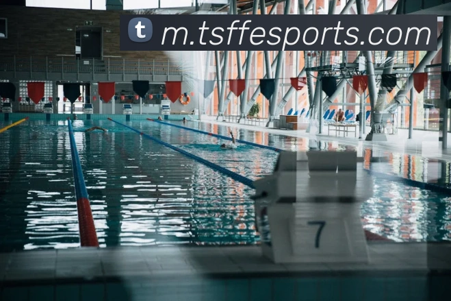 球赛投注平台生态图